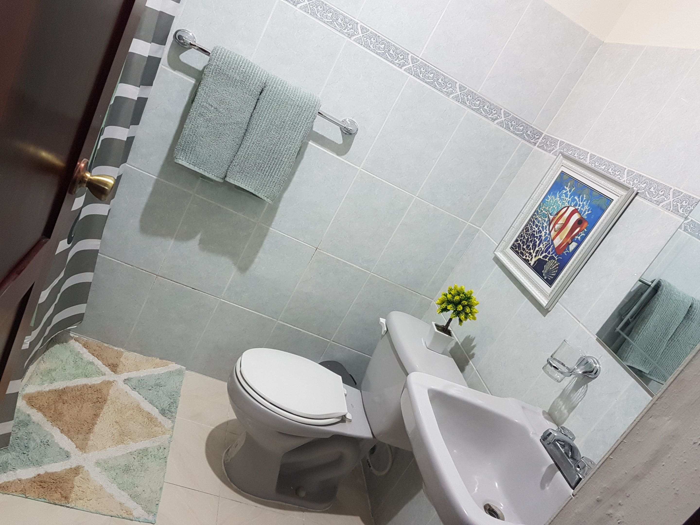 Apartamento hotel la Española