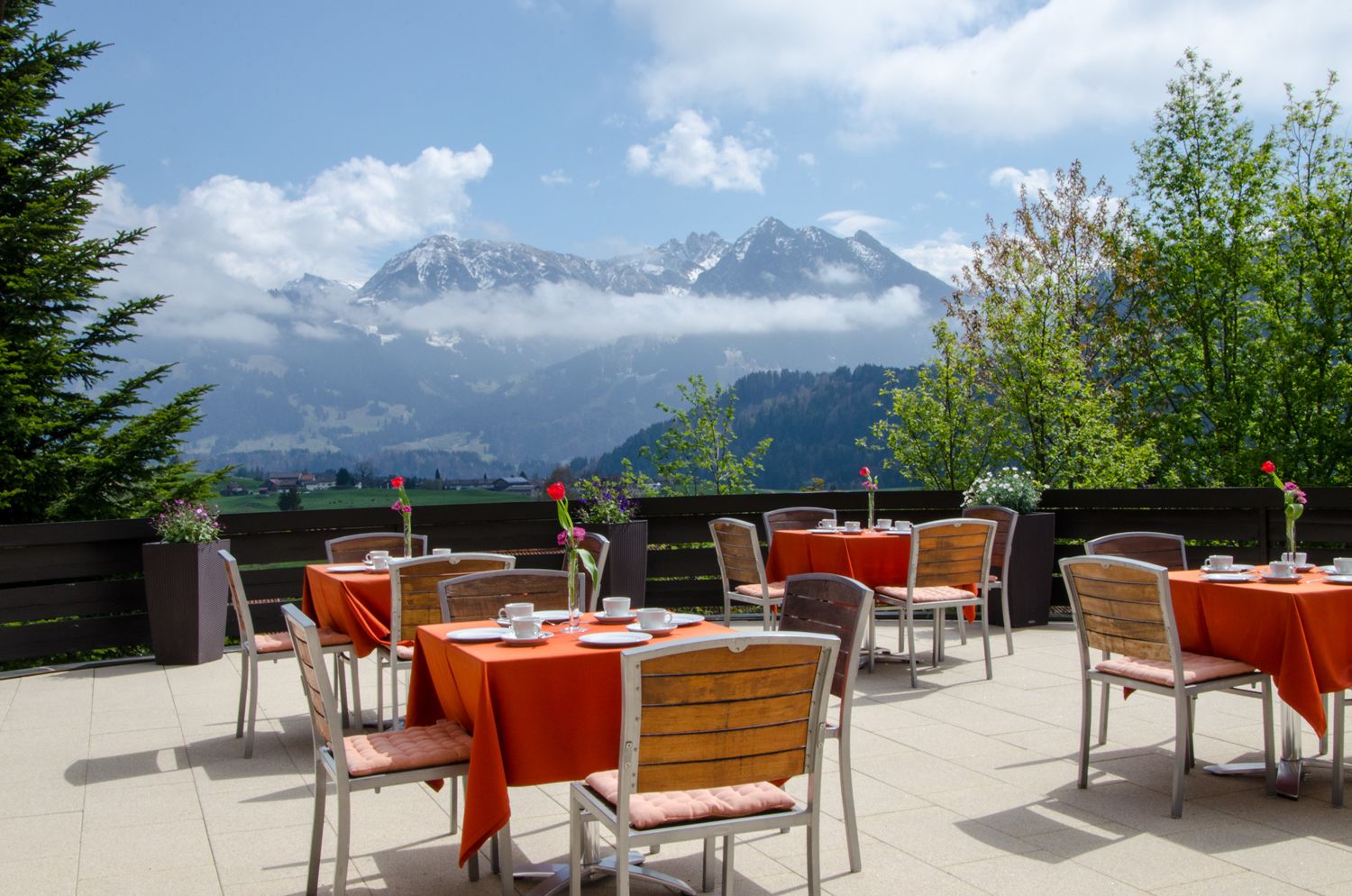 Terraza o patio