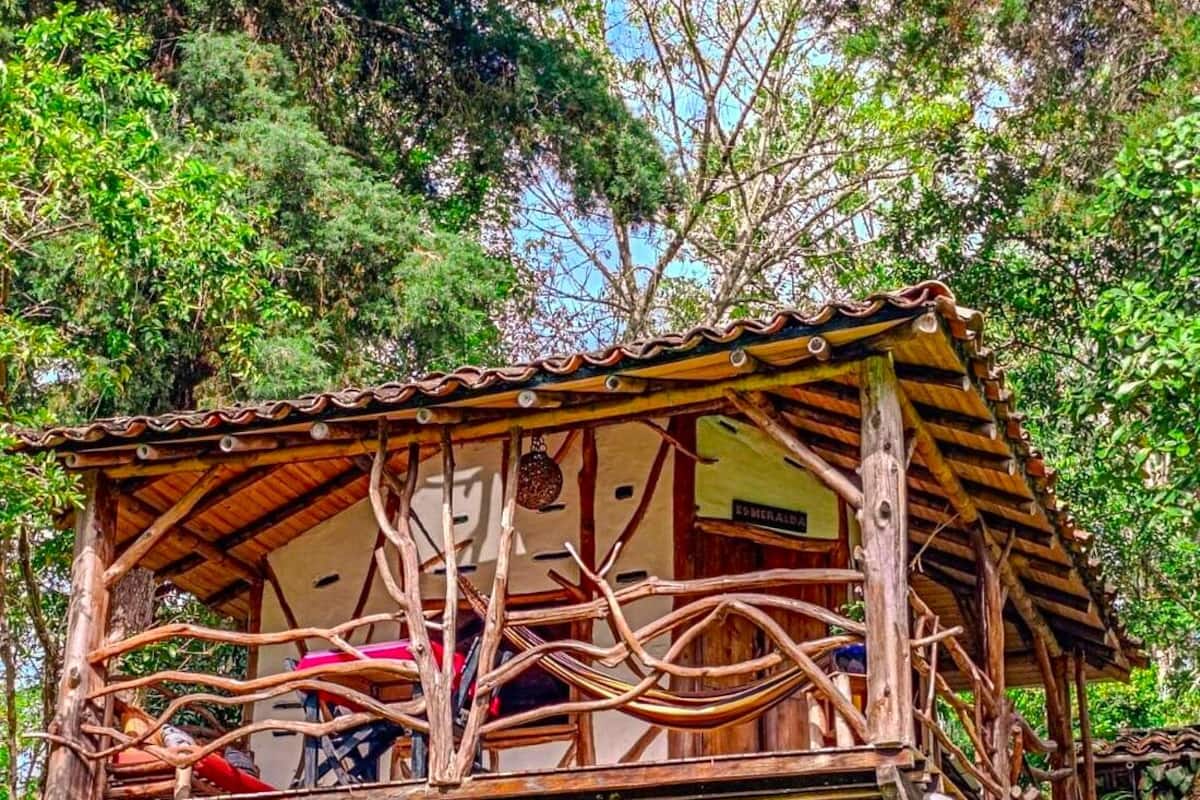 Una estructura rústica de madera con techo de paja, rodeada de vegetación densa.