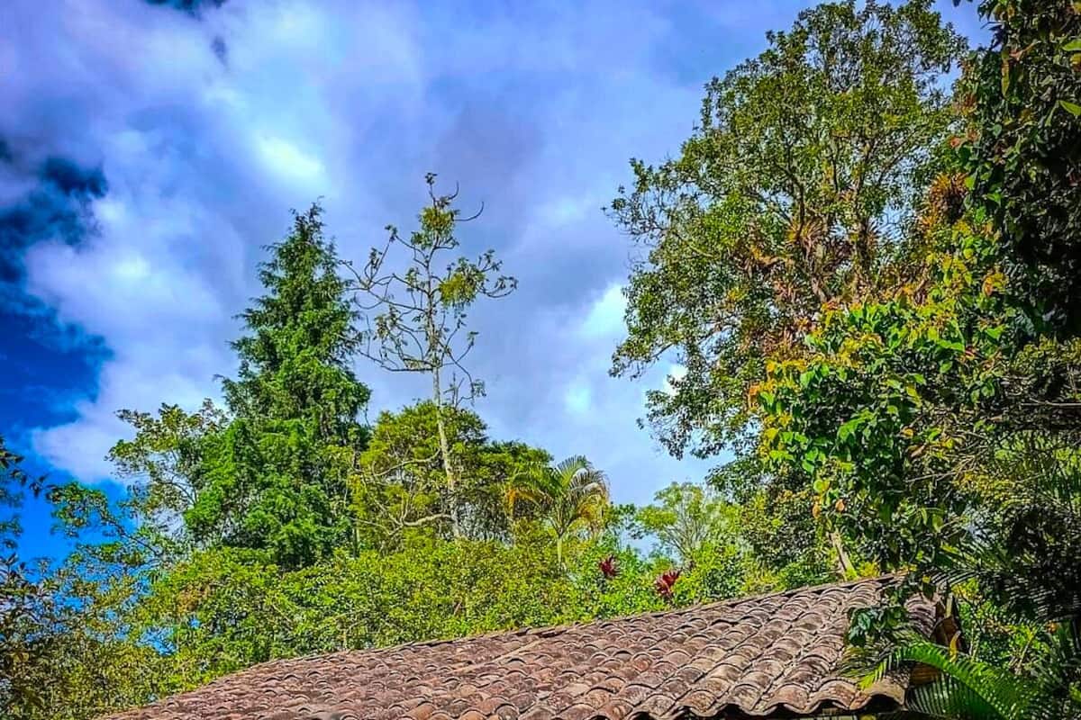 Colibri | Down duvets, free WiFi, bed sheets