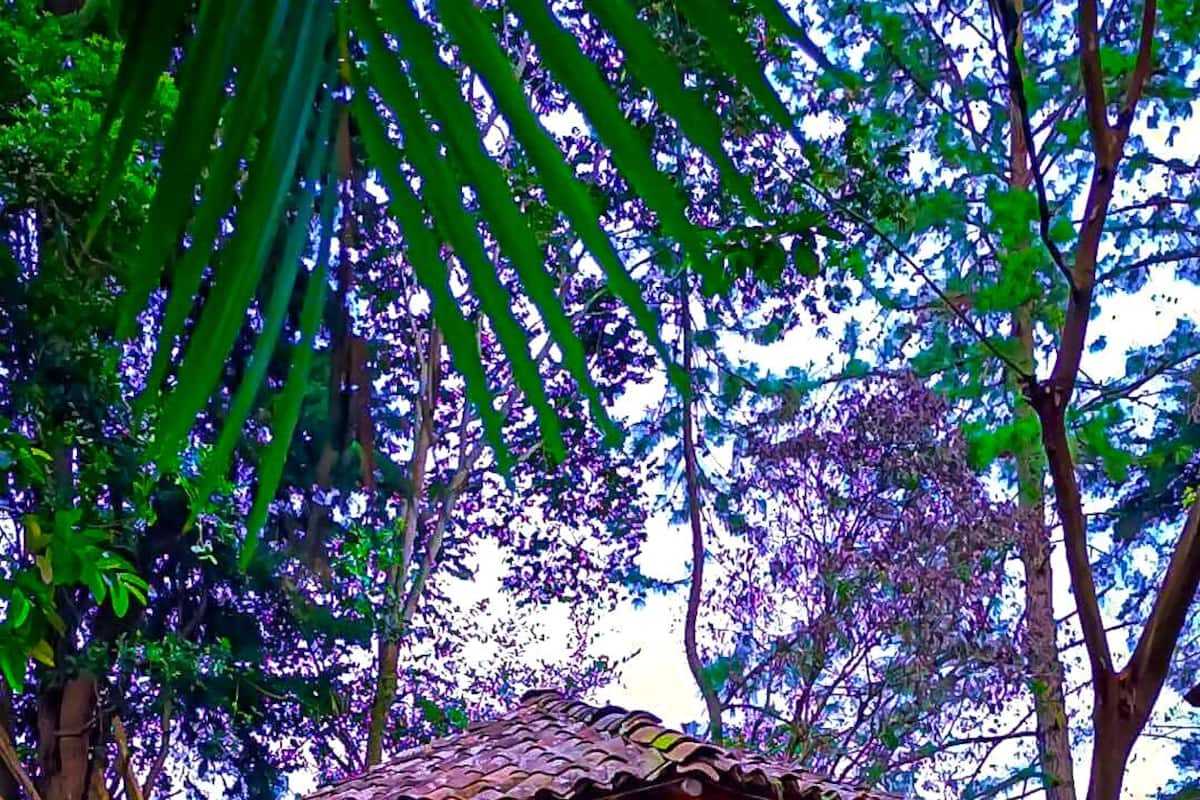 Una cabaña rústica con techo de paja, paredes de madera y un porche.