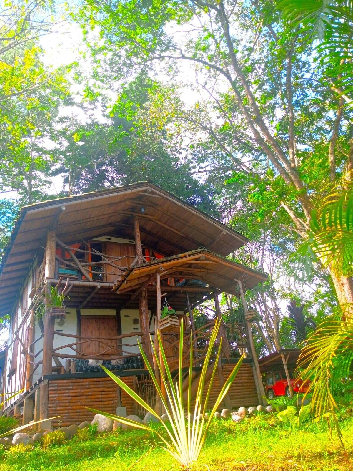 A rustic wooden house with a thatched roof, surrounded by lush greenery and trees.
