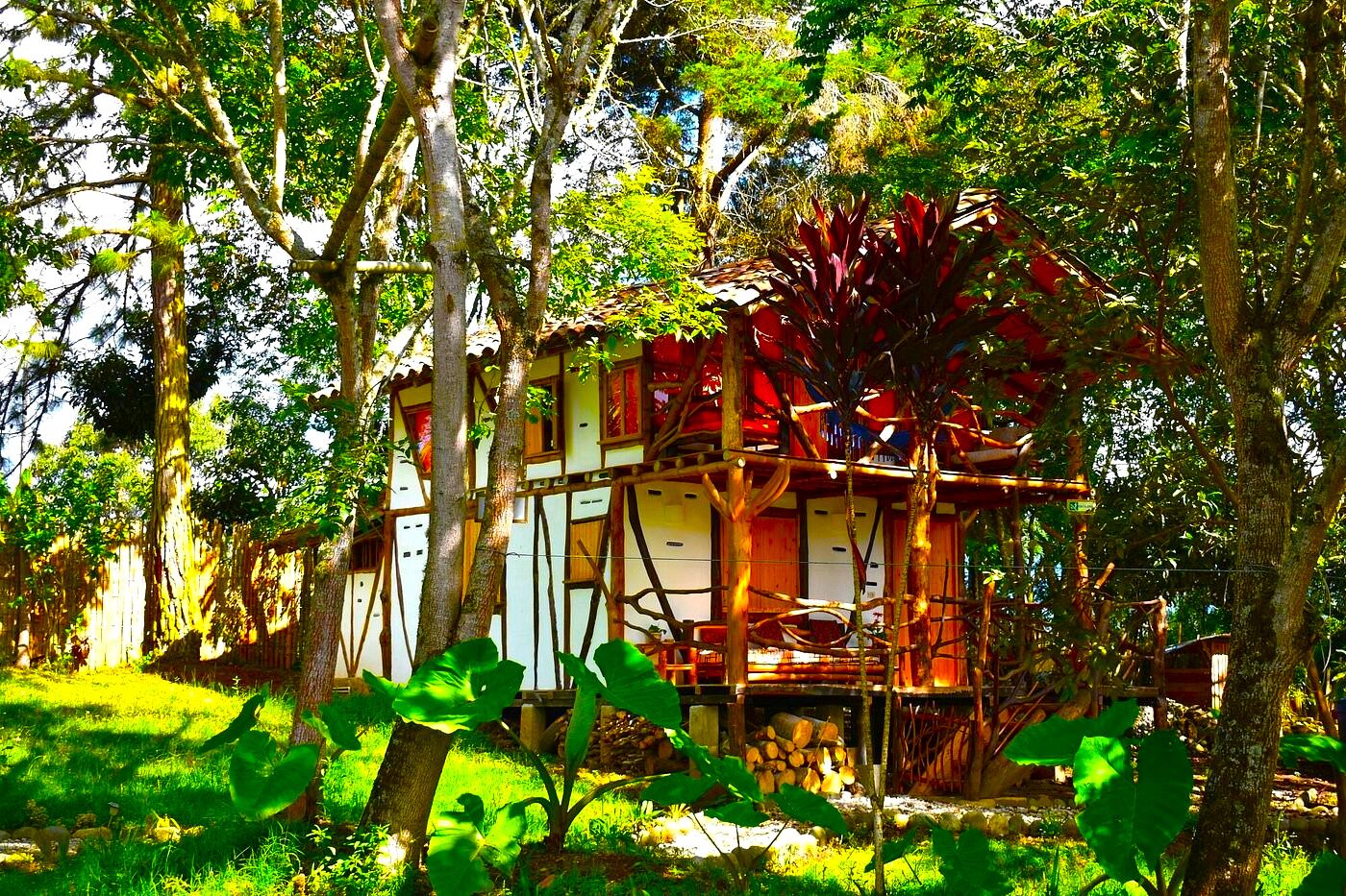 Acacia | Terrasse/patio