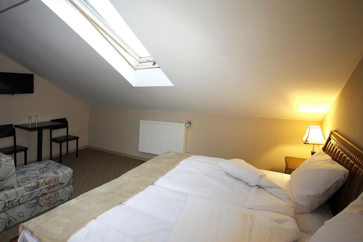 Standard Double or Twin Room (Mansard) | Desk, WiFi (free)