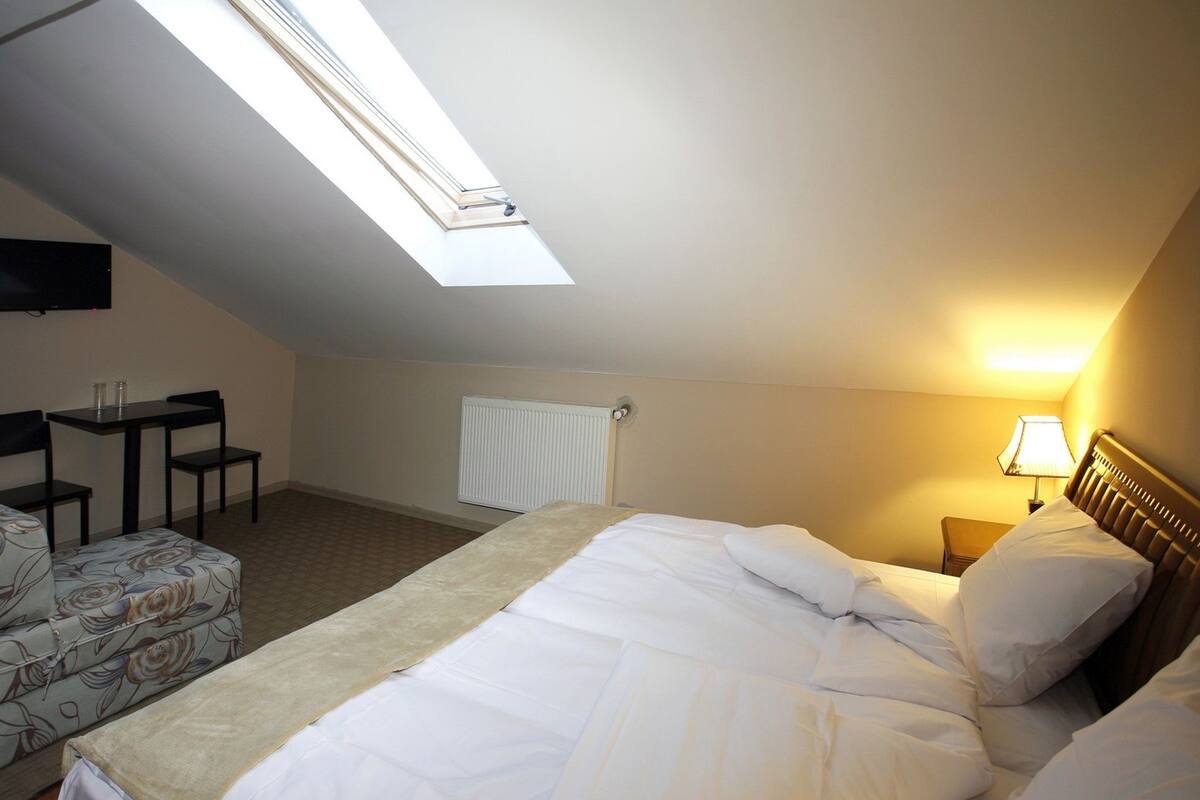Standard Double or Twin Room (Mansard) | Desk, free WiFi