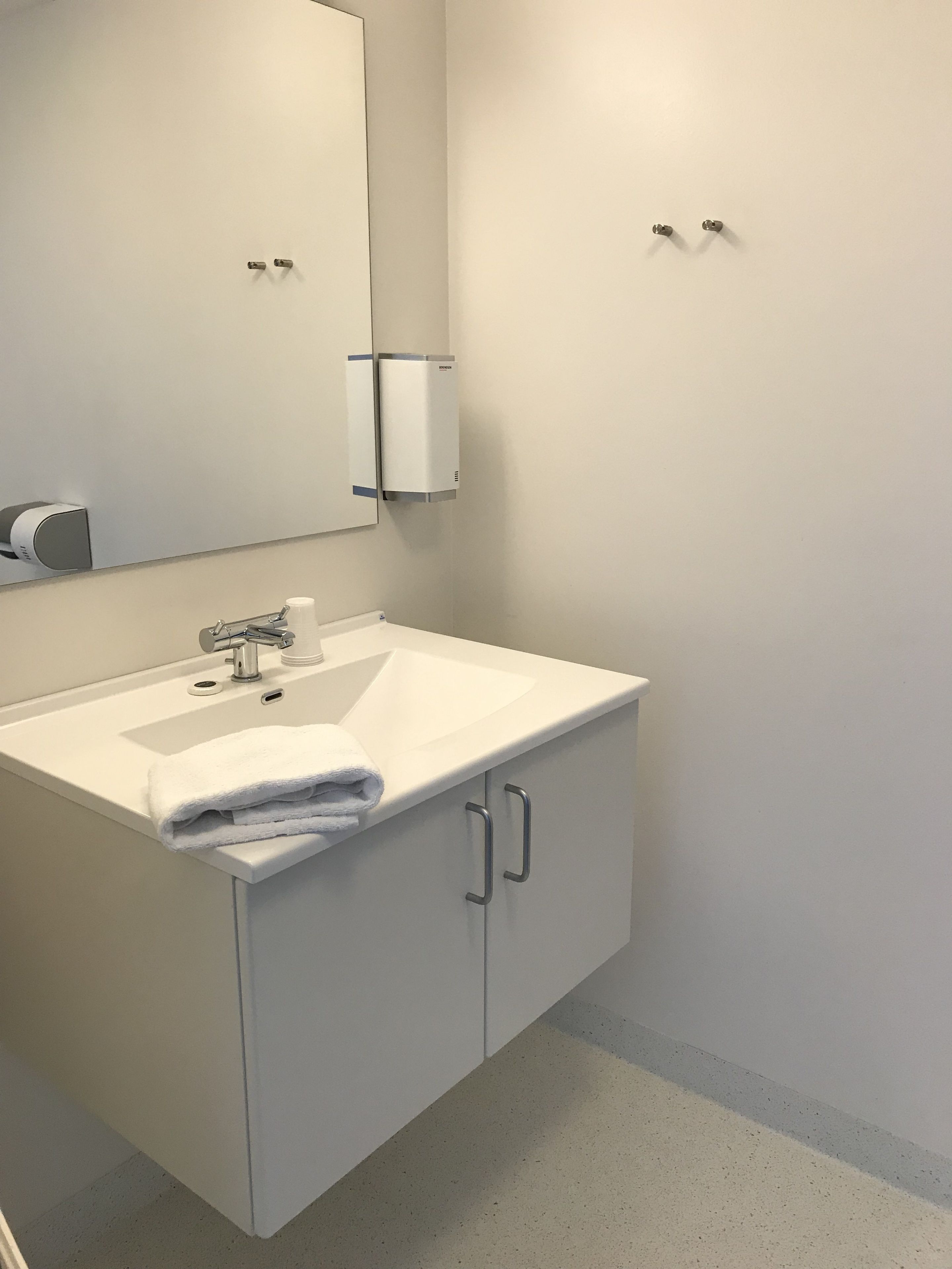 shower, rainfall showerhead, free toiletries, hair dryer