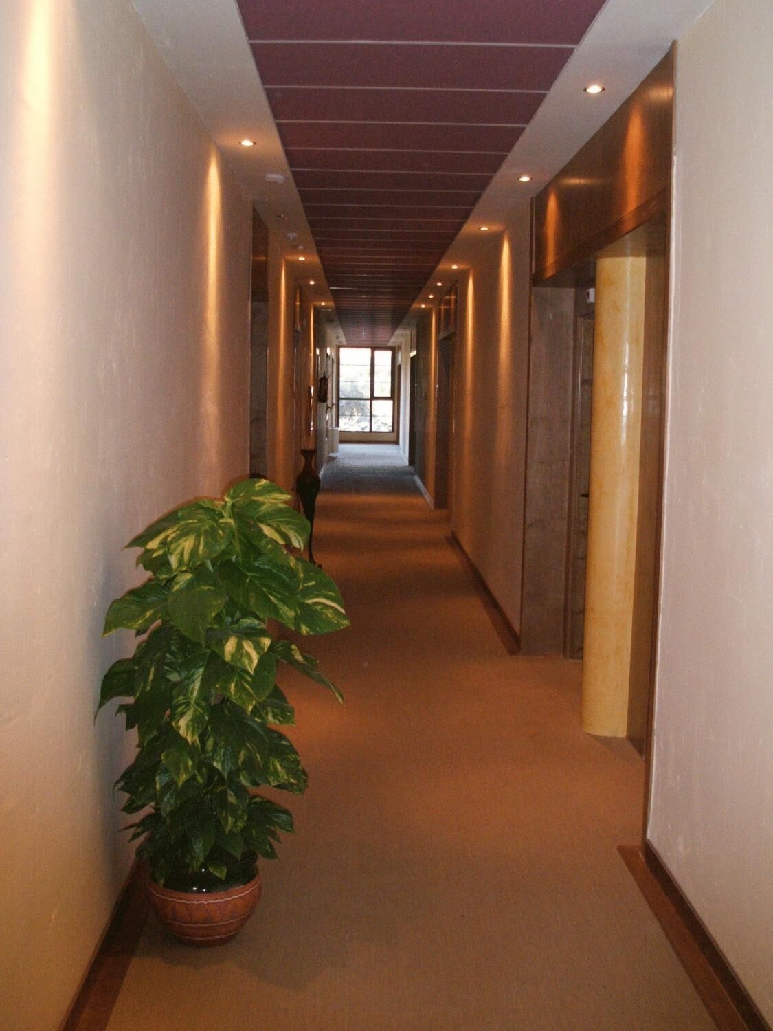 A long, narrow hallway with a potted plant on the left and a door on the right.
