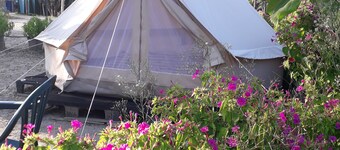 Pachamama Ecocamping