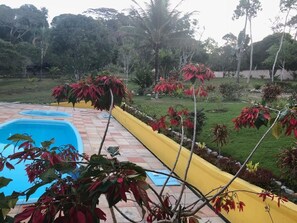 A swimming pool with a yellow border, surrounded by a garden with various plants and trees.