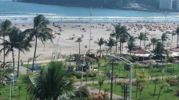 Een strand met palmbomen en uitzicht op een stadsbeeld met hoge gebouwen.