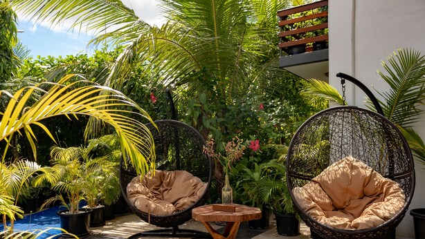 Un patio con dos sillas de mimbre negro y una mesa de madera, rodeado de plantas en macetas y una palmera grande.