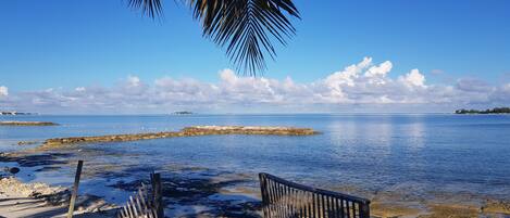 Camastros y toallas de playa