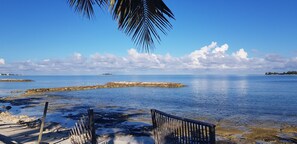 Una playa con un banco de madera y una palmera, que da a aguas tranquilas y un cielo despejado.