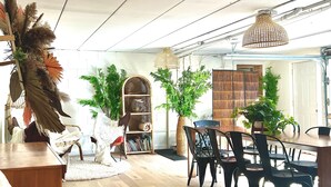 Ein geräumiger Essbereich mit Holztisch und -stühlen, umgeben von großen Kübelpflanzen und einem dekorativen Bücherregal.