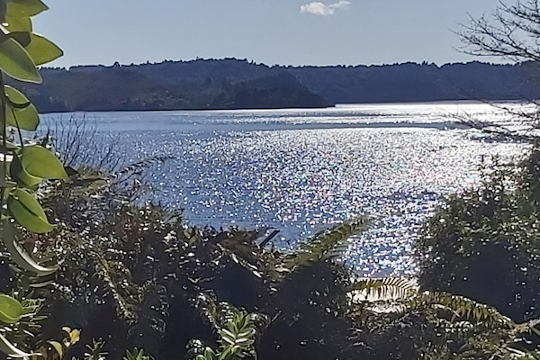 Stunning views of Lake Rotoma from all over the property.