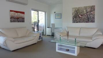 TV, DVD player, books, stereo