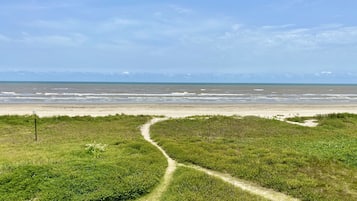 Plage, chaises longues