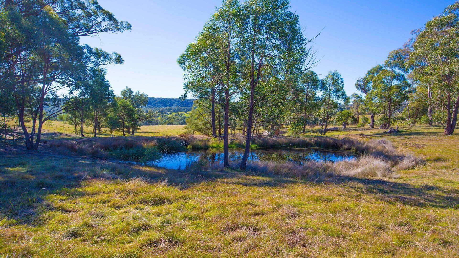 Un paisaje natural con un estanque, árboles y campos cubiertos de hierba.