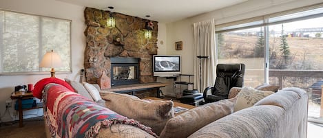 TV, fireplace, DVD player