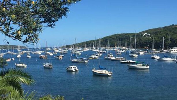 A marina with numerous boats docked. - Balgowlah 2 Bedroom Flat 100 metres down steps to Jilling Cove (Balgowlah)