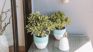 Habitació amb una paret gris, una porta de fusta i dues plantes en testos sobre una taula.