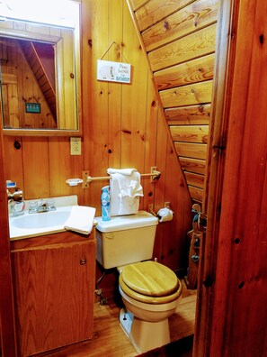 Combined shower/tub, hair dryer, towels, soap