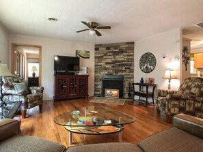 TV, fireplace, books