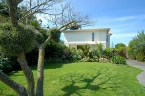 Backyard view