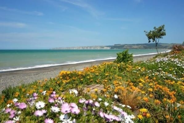 View of beach