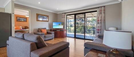 Televisión, reproductor de DVD, libros, estéreo