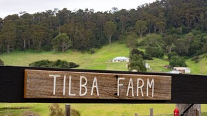 Un panneau en bois sur lequel on peut lire « TILBA FARM », placé devant un paysage verdoyant parsemé d’arbres et surmonté d’un petit bâtiment.