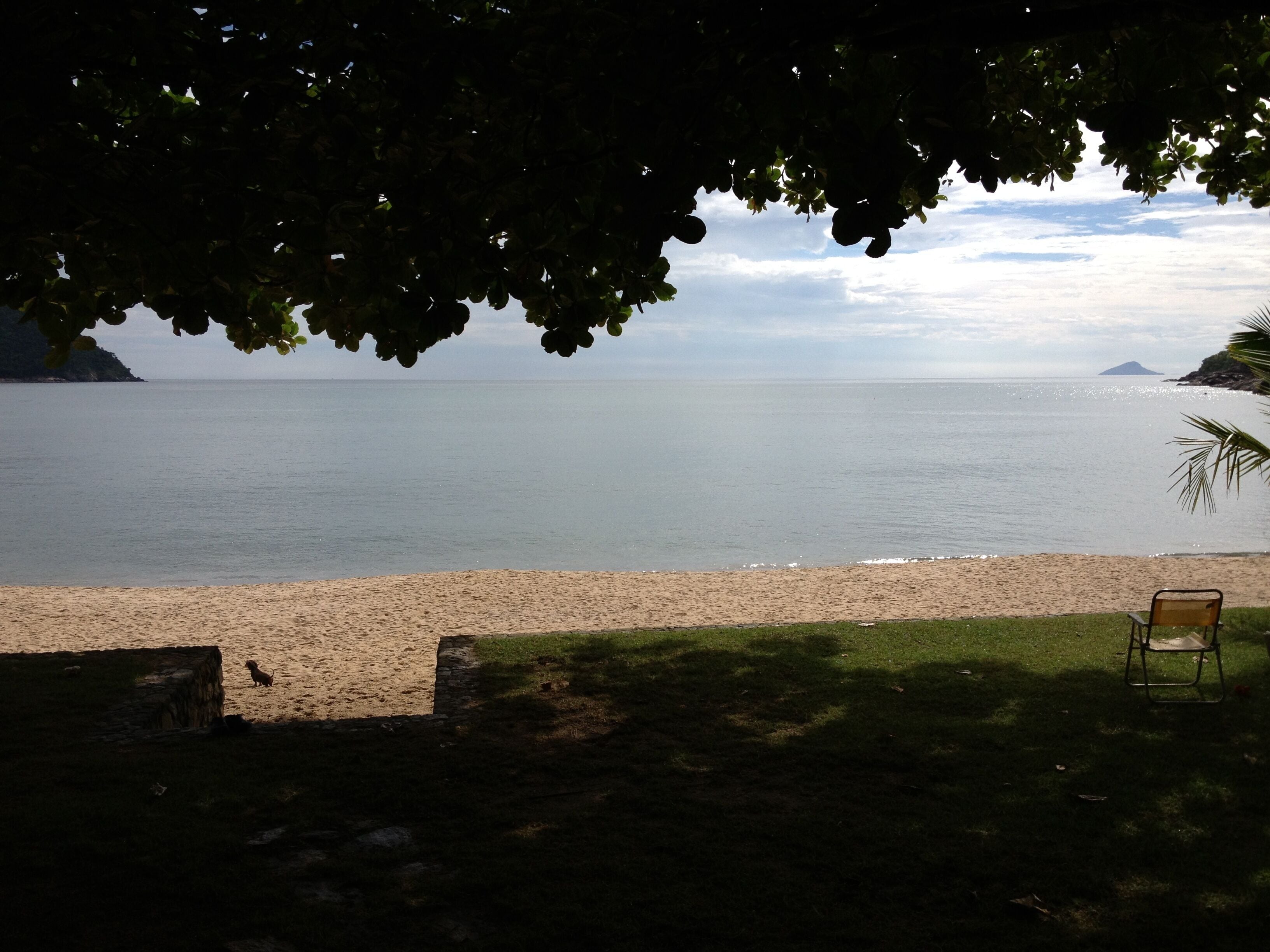 A beach with a chair and a dog, a grassy area, and a view of the sea and distant land.