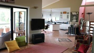 Smart TV, fireplace, DVD player, books