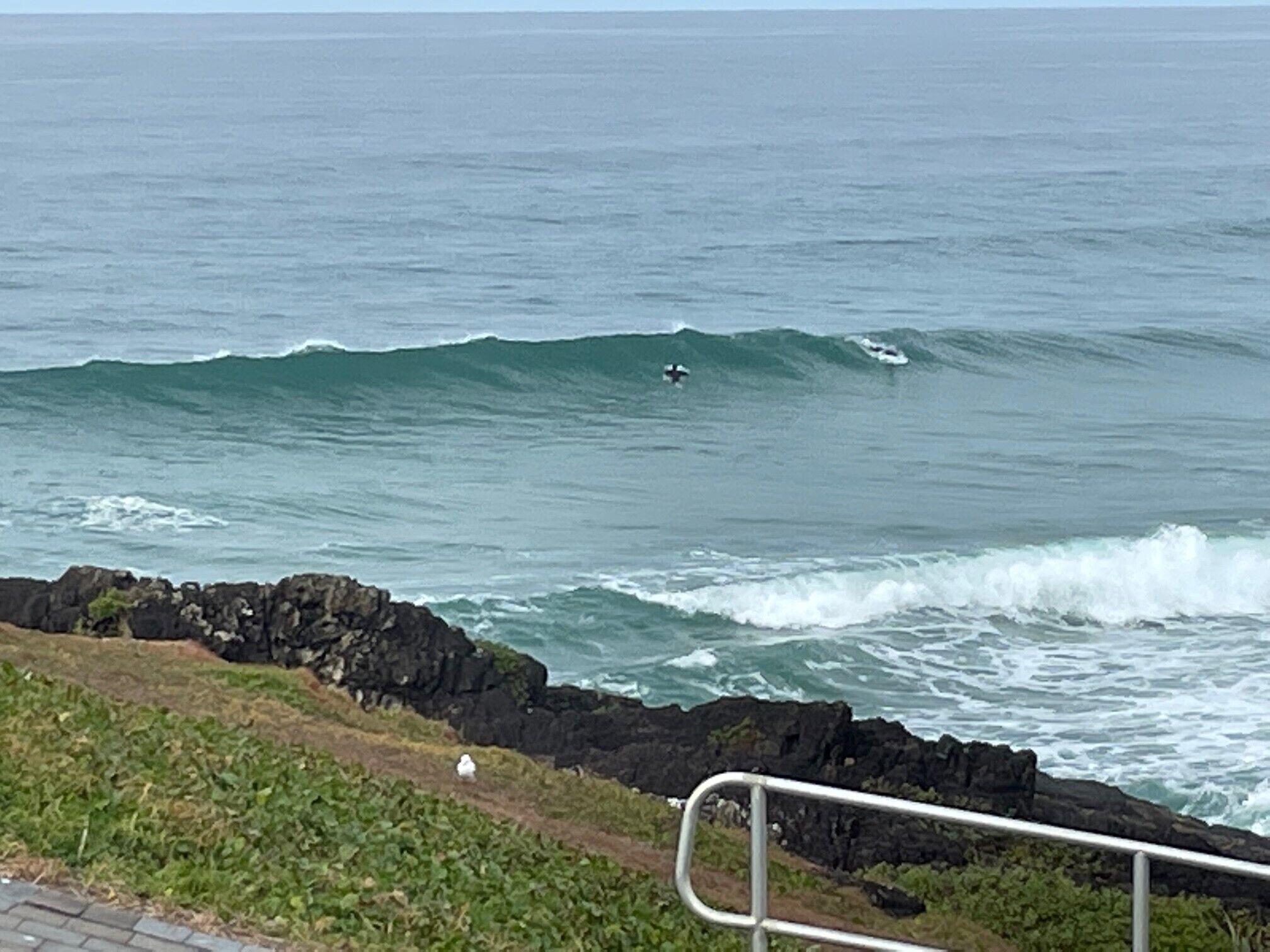 Cena costeira com ondas quebrando em arribas rochosas, uma grade de metal e uma área gramada.