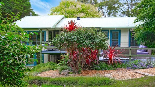 Que Sera – pet friendly