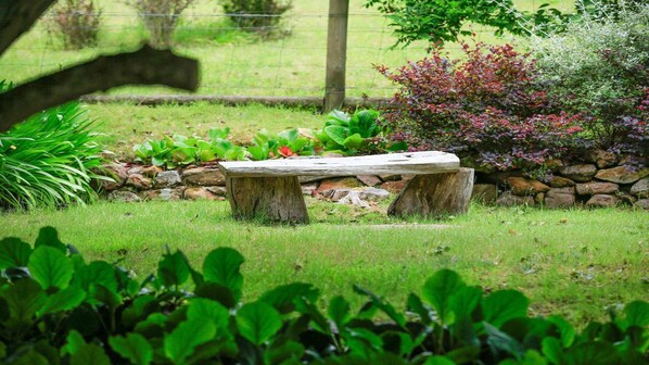 Un banc en pierre dans un jardin, avec un mur en pierre et diverses plantes.