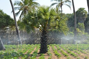 Enceinte de l’hébergement