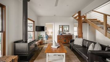 Televisie, een open haard, een dvd-speler en boeken