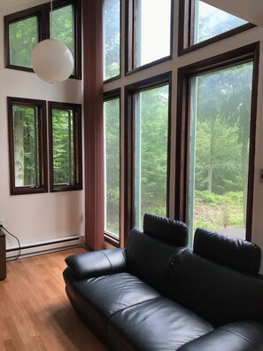 Flat-screen TV, fireplace, video-game console, stereo