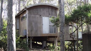 A wooden treehouse elevated on stilts in a forest. - 11 Burrawong Place - Bushland Haven (BARRAGGA BAY)