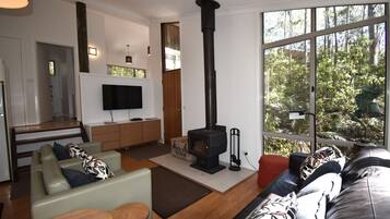 Televisor, llar de foc i reproductor de DVD