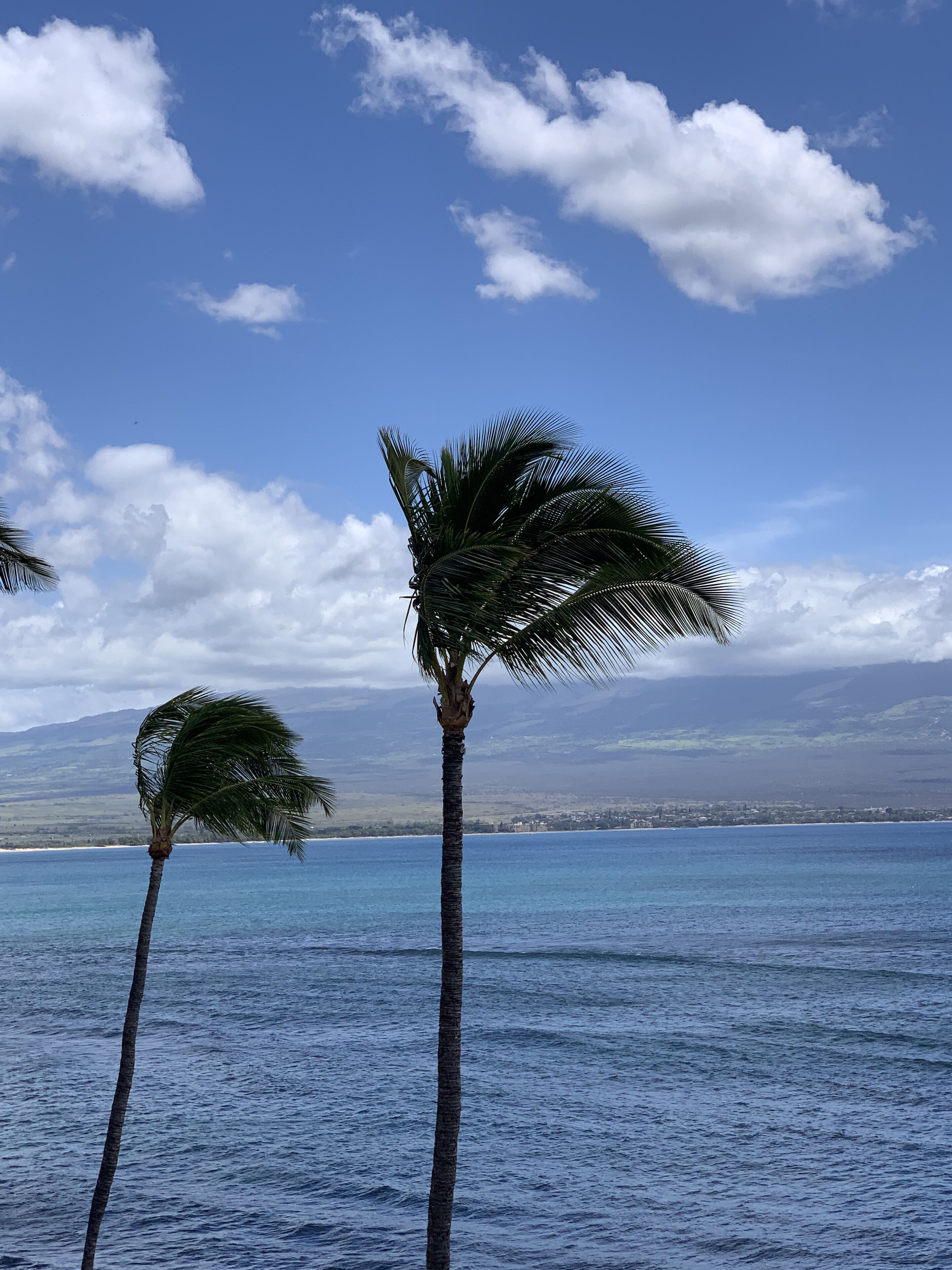 På stranden, solsenger og strandhåndklær