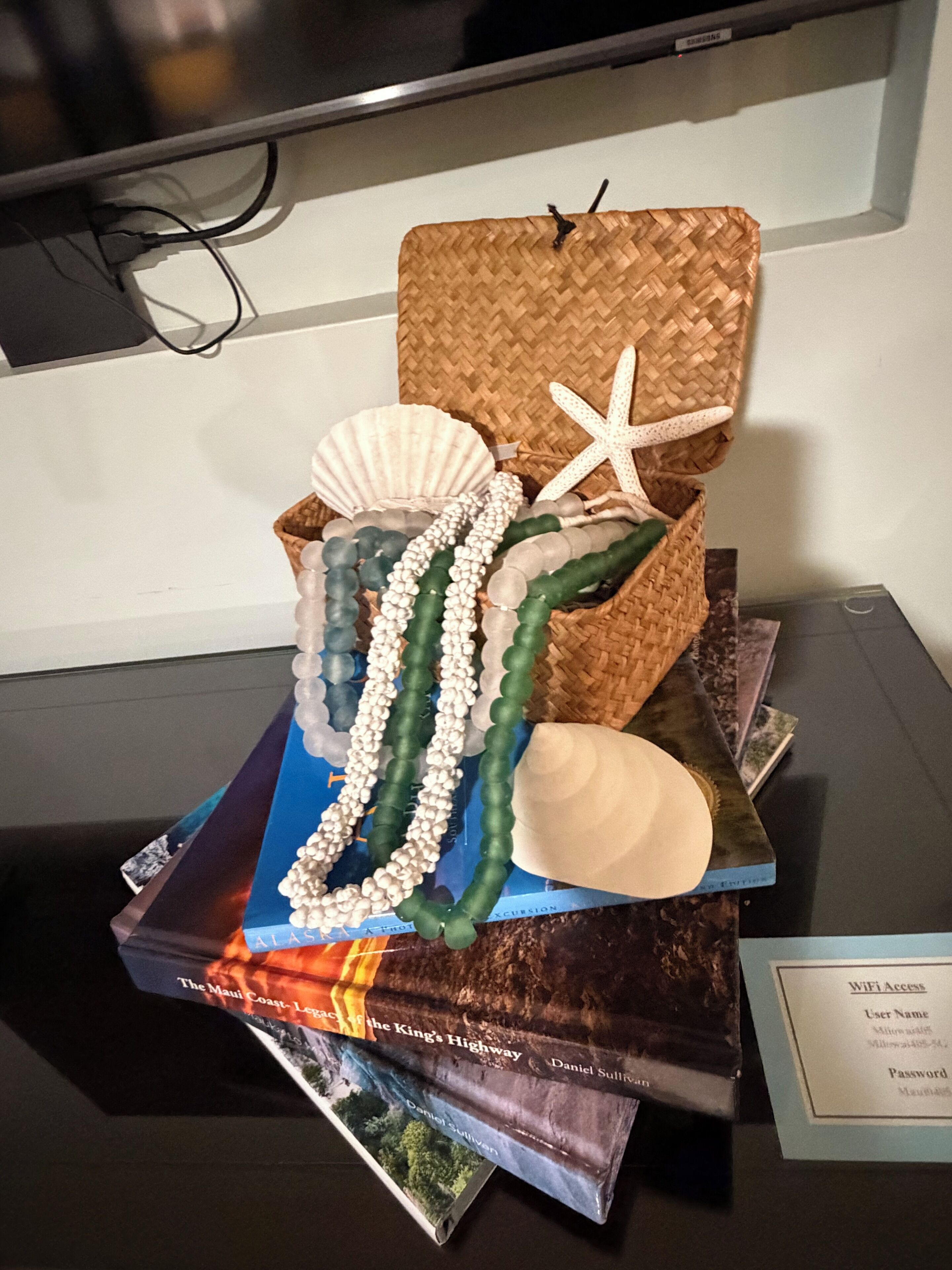 Exposição de objetos decorativos, incluindo conchas, uma estrela-do-mar e colares de contas, colocados sobre livros.