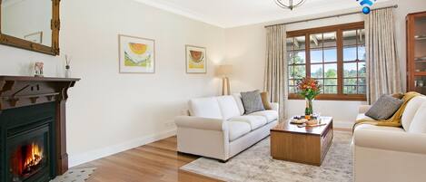 TV, fireplace, video game console