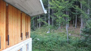 Una cabaña de madera con base de piedra, rodeada de un bosque denso y plantas con flores.