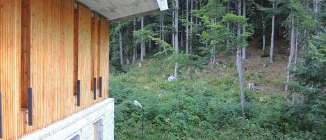 A wooden cabin with a stone foundation, surrounded by dense forest and flowering plants.