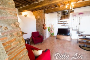 TV, fireplace, table tennis, books