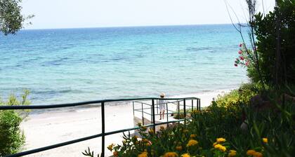 Villa Lavanda- 300sqm (11 guests) 120 seconds from the sea