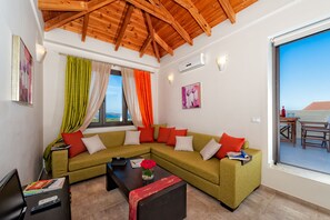 TV connectée, cheminée, lecteur de DVD, livres