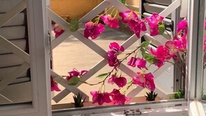 A view through a window with a white lattice, pink flowers, and a yellow wall in the background. - Rome: Central apartment, in the heart of Rome (Roma)